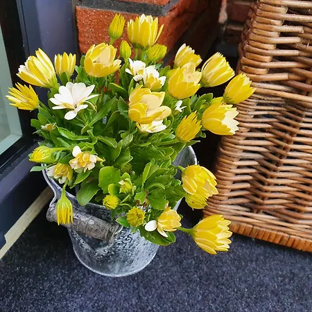 Meine Zeit Apartament Cuxhaven