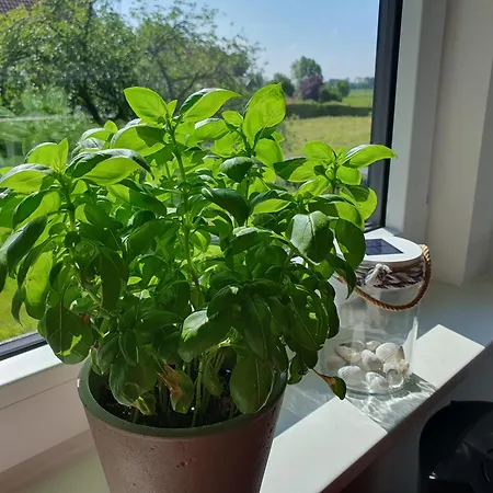 Meine Zeit
